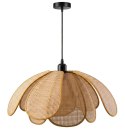 Lampa sufitowa APP1954-1CP
