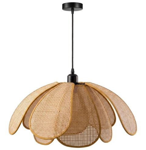 Lampa sufitowa APP1954-1CP