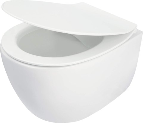Miska WC z deską bezkołnierzowa Miska WC z deską bezkołnierzowa
