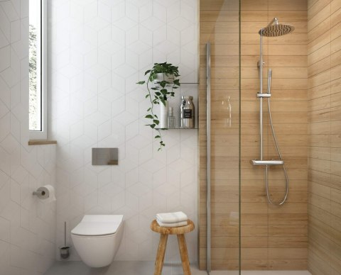 Miska WC z deską bezkołnierzowa Miska WC z deską bezkołnierzowa