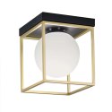 Lampa APP1166-1C Gold/White