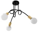 Lampa APP517-3C Paradise Black/Gold