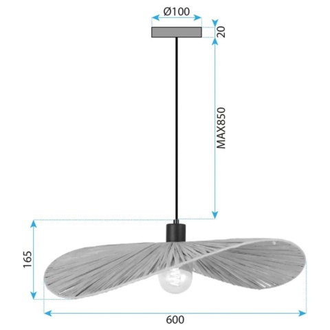 Lampa sufitowa APP1831-1CP czarna