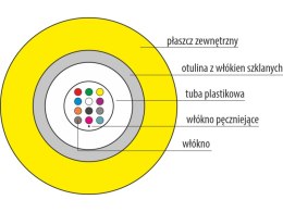 Kabel światłowodowy OS2 uniwersalnego stosowania, trudnopalny FireHardy ZW-NOTKtsdD / U-DQ(ZN)BH - SM 12J 9/125 LSOH B2ca ALANTE