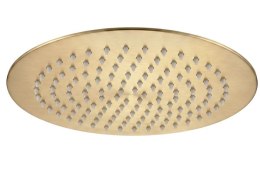 DESZCZOWNICA OKRĄGŁA 25 cm JS-P014BG ZŁOTA SZCZOTK